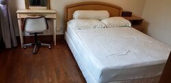 Valley Park (D10), Condominium #360671191